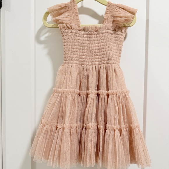 HILL HOUSE MOMMY & ME 2023 COLLECTOR EDITION ELLIE NAP DRESS BLUSH GLITTER TULLE - Picture 7 of 10